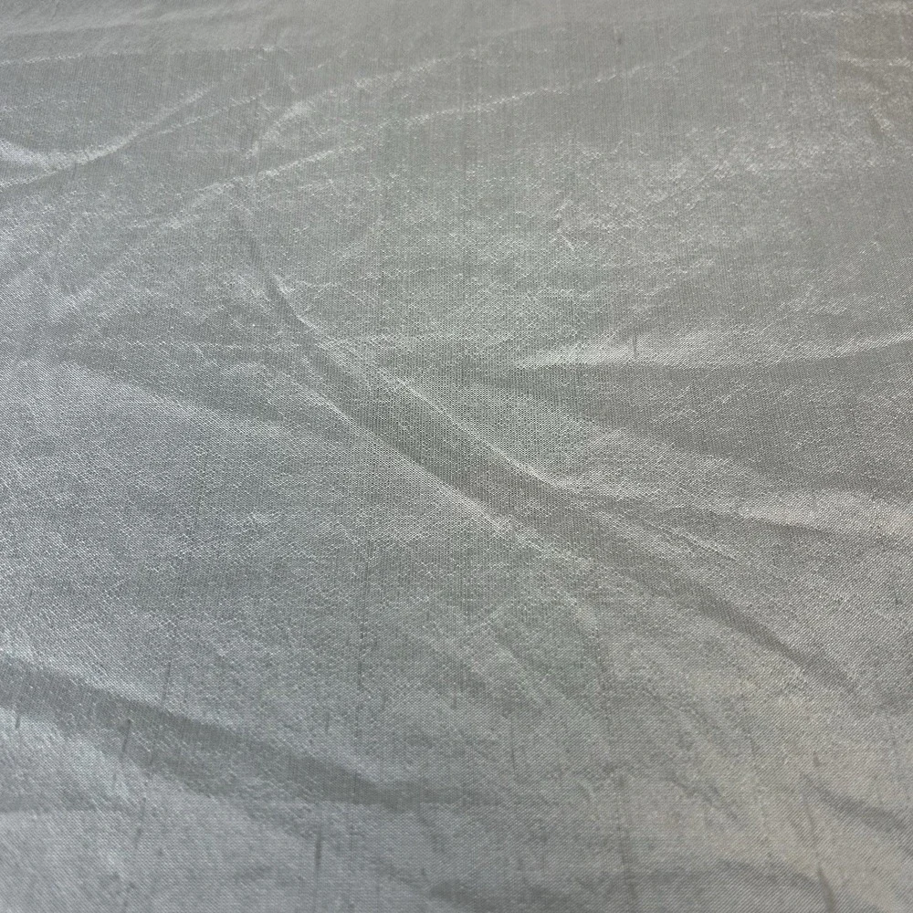 Pottery Barn Light Silver Drapery Panel